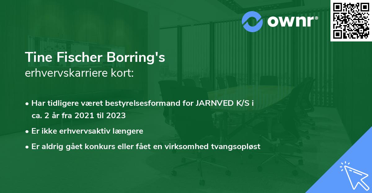 Tine Fischer Borring's erhvervskarriere kort