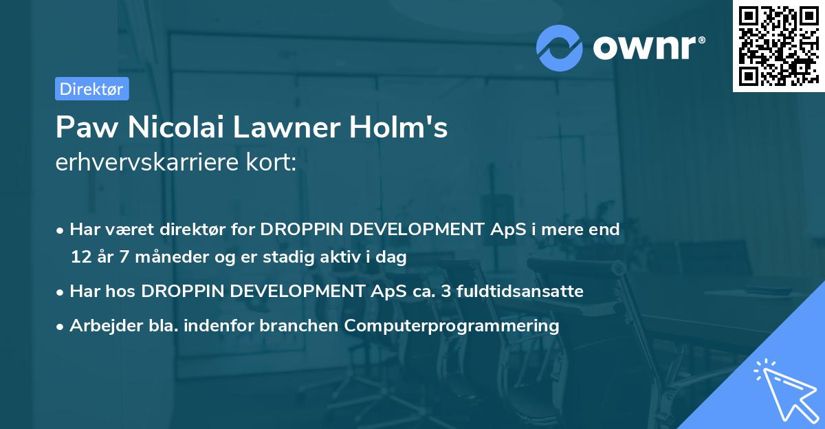 Paw Nicolai Lawner Holm's erhvervskarriere kort