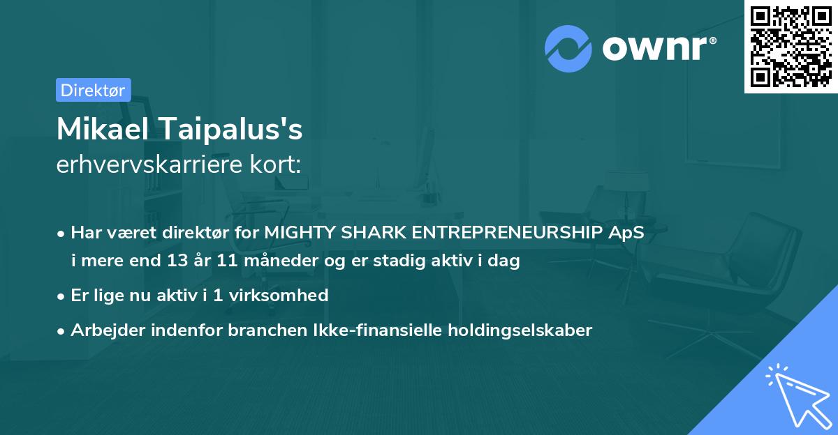 Mikael Taipalus's erhvervskarriere kort