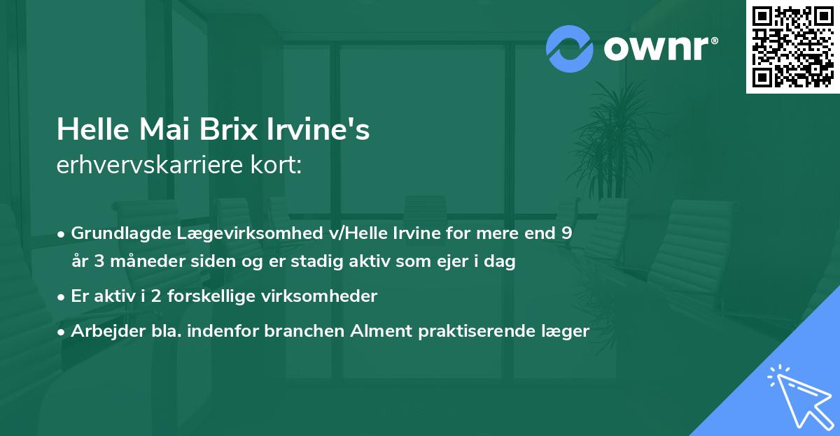 Helle Mai Brix Irvine's erhvervskarriere kort