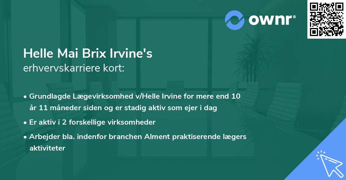 Helle Mai Brix Irvine's erhvervskarriere kort