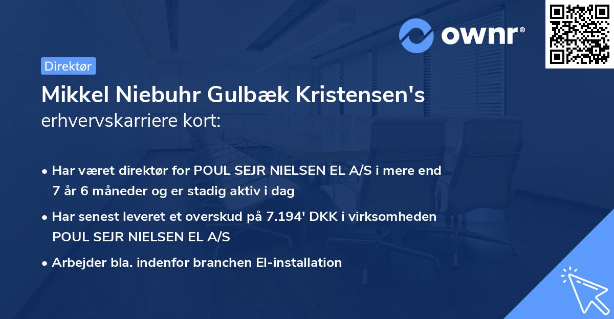 Mikkel Niebuhr Gulbæk Kristensen's erhvervskarriere kort