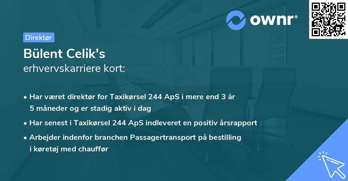 Bülent Celik's erhvervskarriere kort