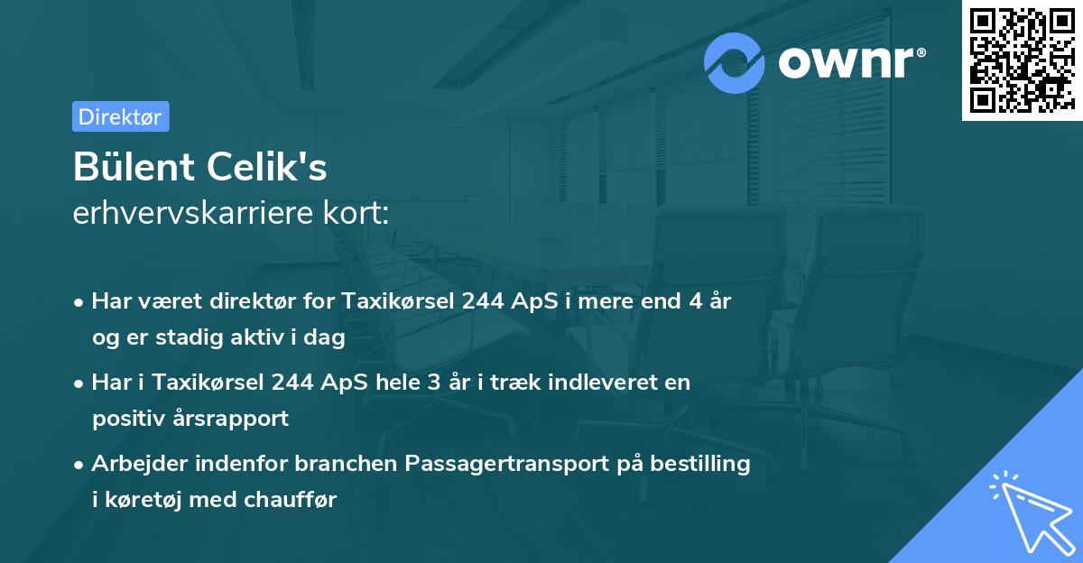Bülent Celik's erhvervskarriere kort