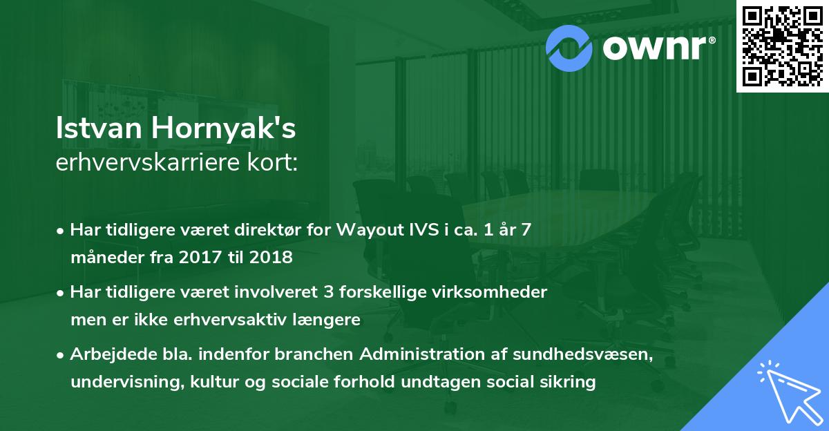 Istvan Hornyak's erhvervskarriere kort