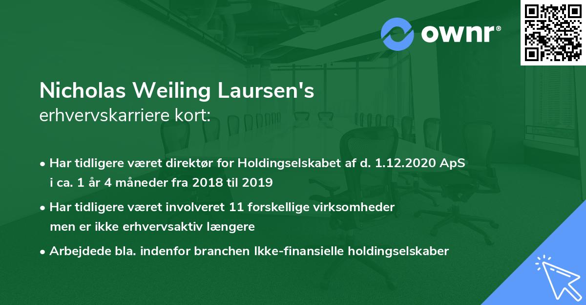 Nicholas Weiling Laursen's erhvervskarriere kort