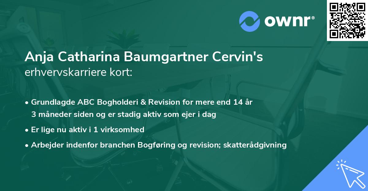 Anja Catharina Baumgartner Cervin's erhvervskarriere kort