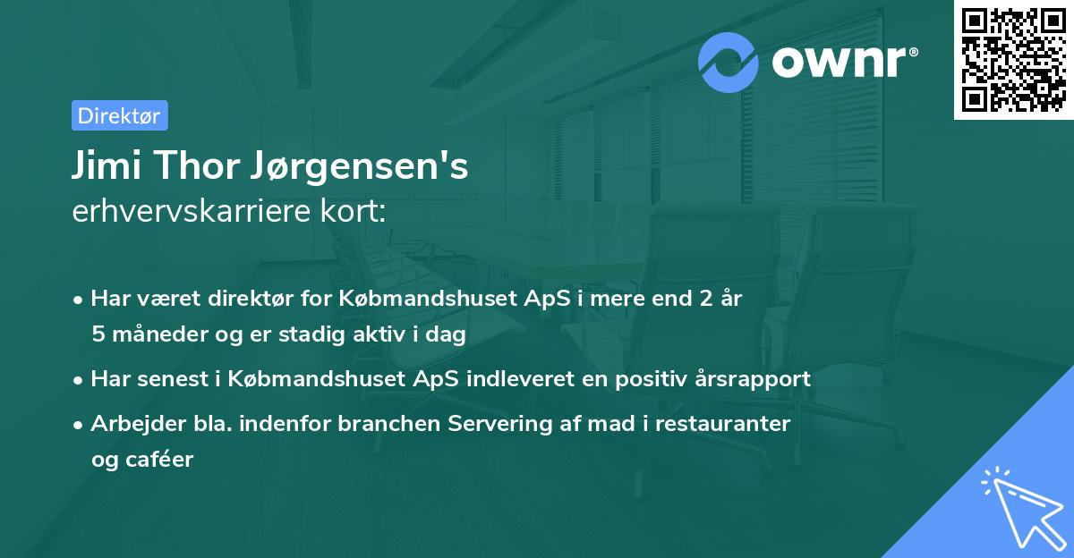 Jimi Thor Jørgensen's erhvervskarriere kort