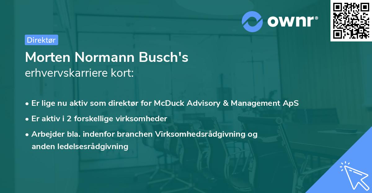 Morten Normann Busch's erhvervskarriere kort