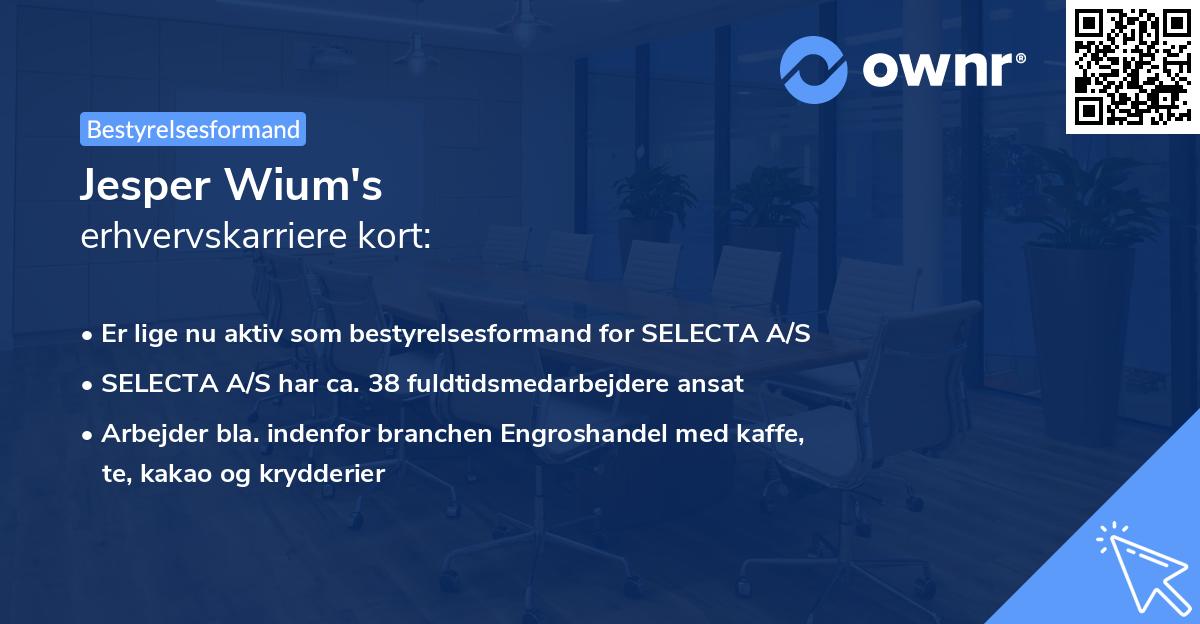 Jesper Wium's erhvervskarriere kort