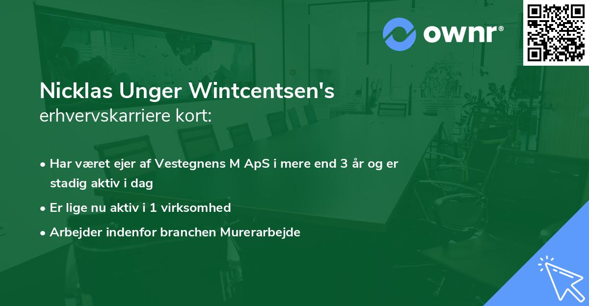 Nicklas Unger Wintcentsen's erhvervskarriere kort