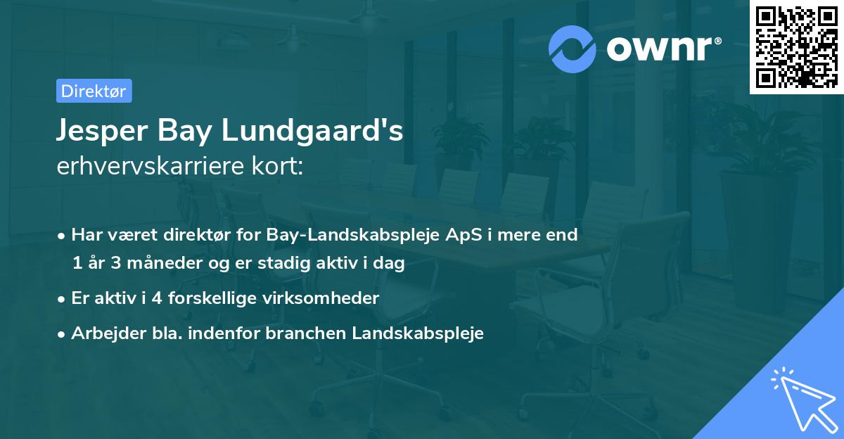 Jesper Bay Lundgaard's erhvervskarriere kort