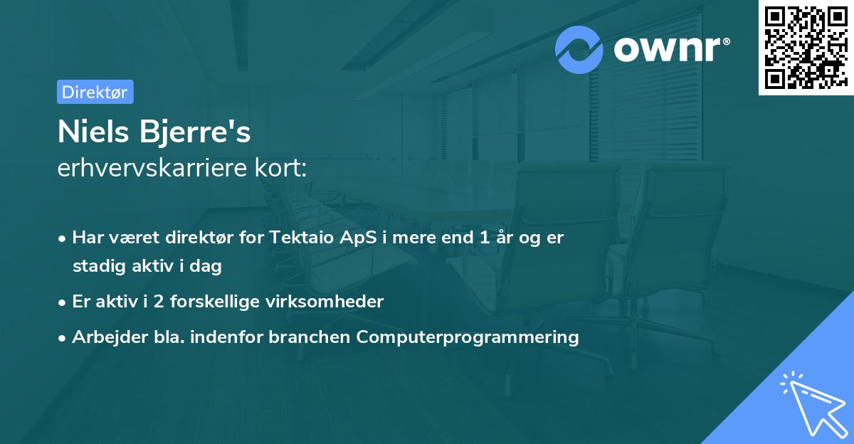 Niels Bjerre's erhvervskarriere kort