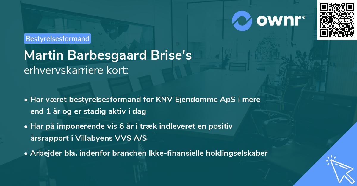 Martin Barbesgaard Brise's erhvervskarriere kort
