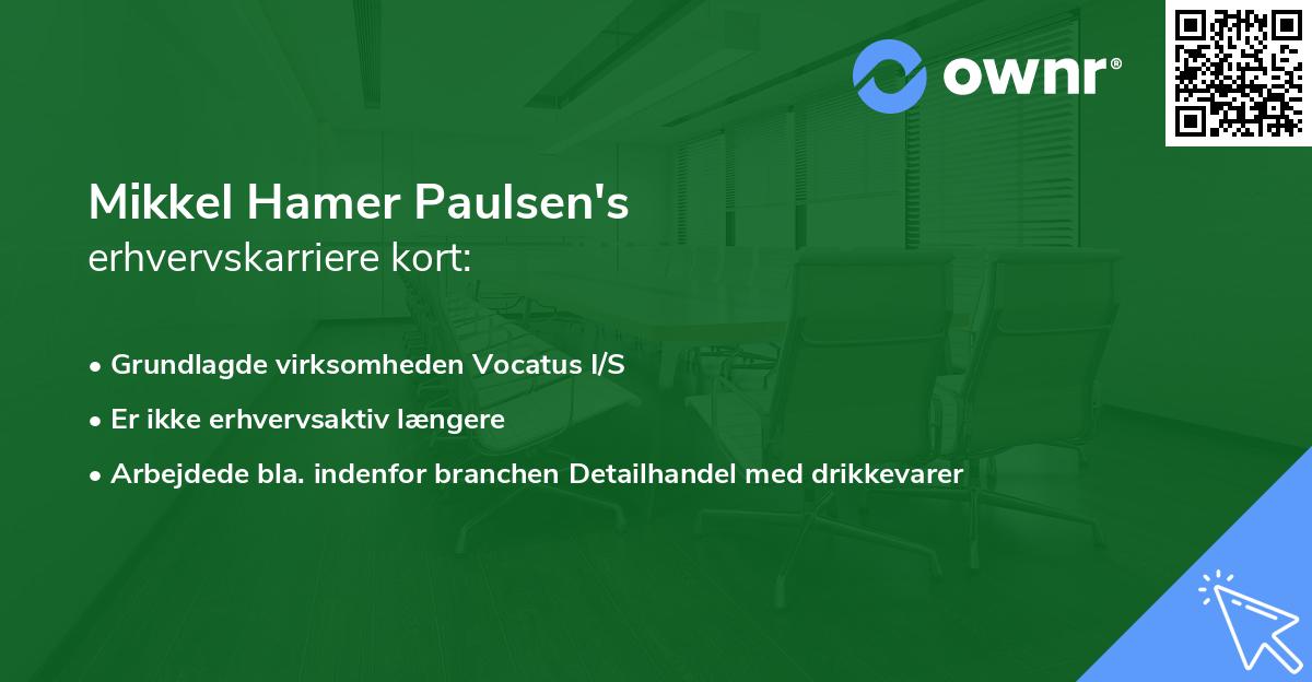 Mikkel Hamer Paulsen's erhvervskarriere kort