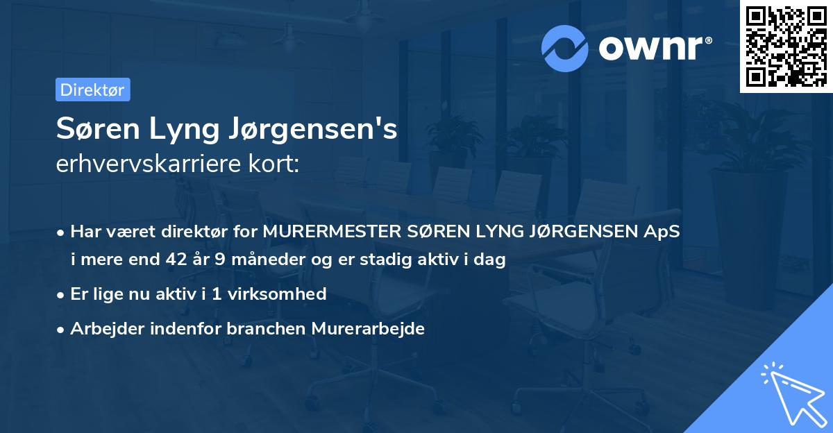 Søren Lyng Jørgensen's erhvervskarriere kort