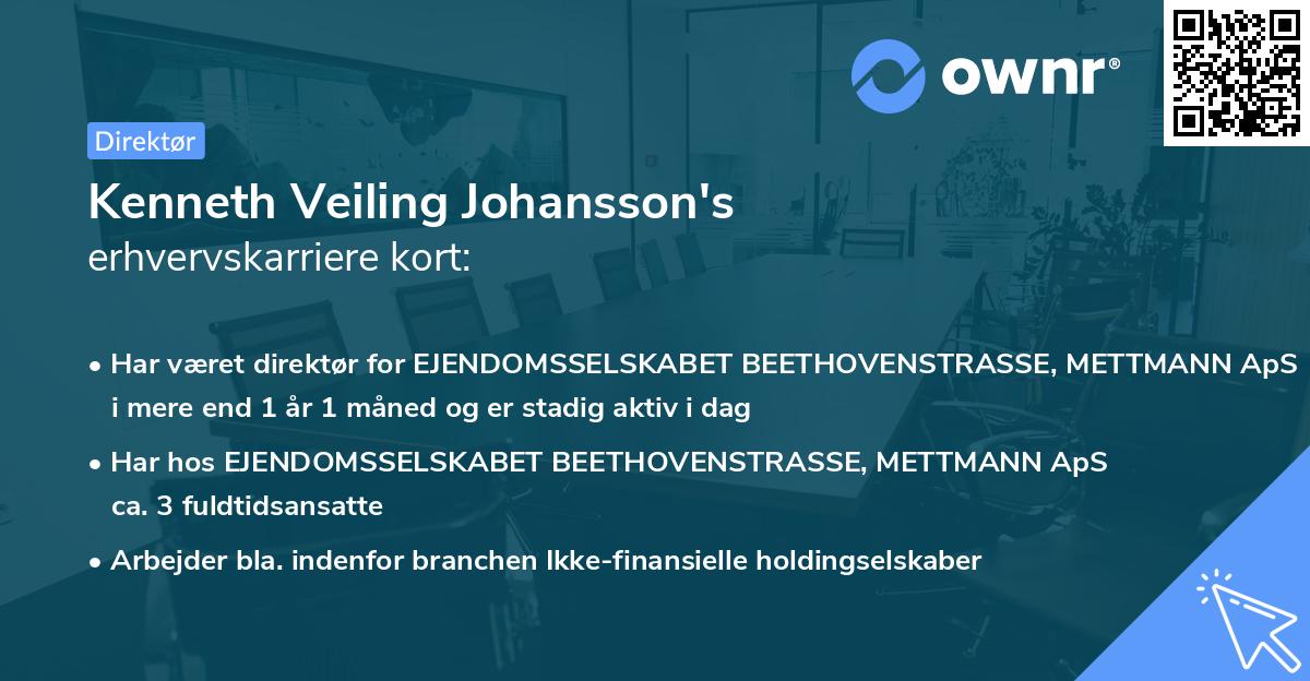 Kenneth Veiling Johansson's erhvervskarriere kort