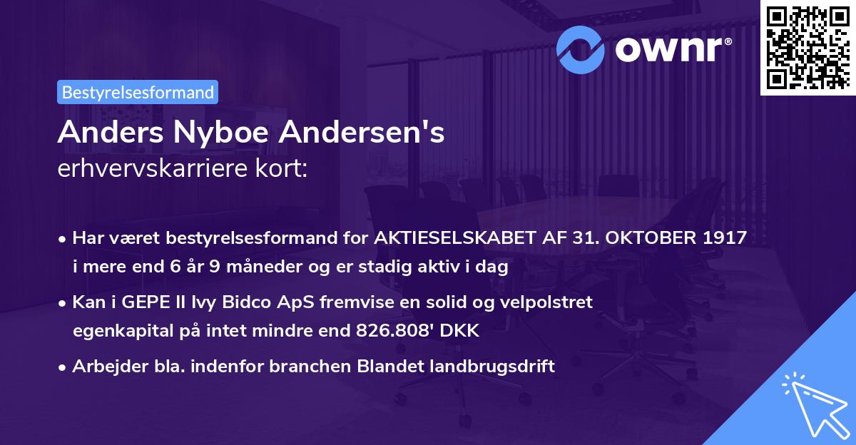 Anders Nyboe Andersen's erhvervskarriere kort
