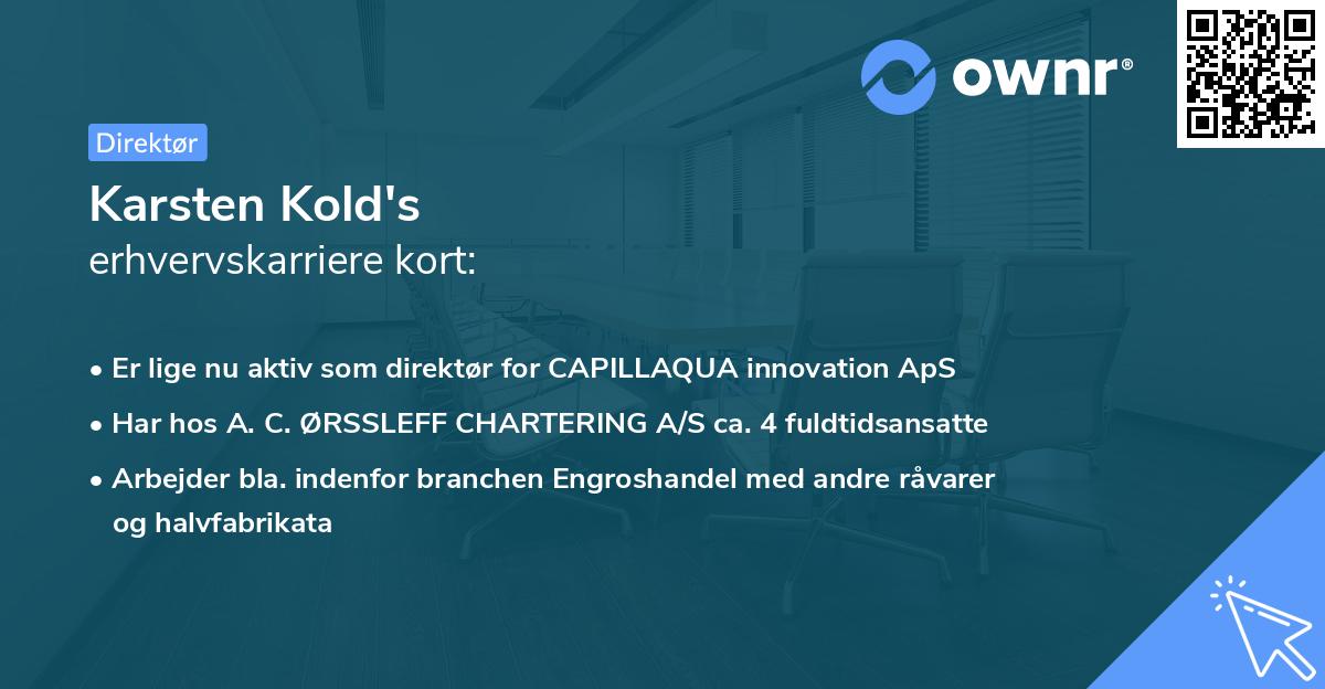 Karsten Kold's erhvervskarriere kort