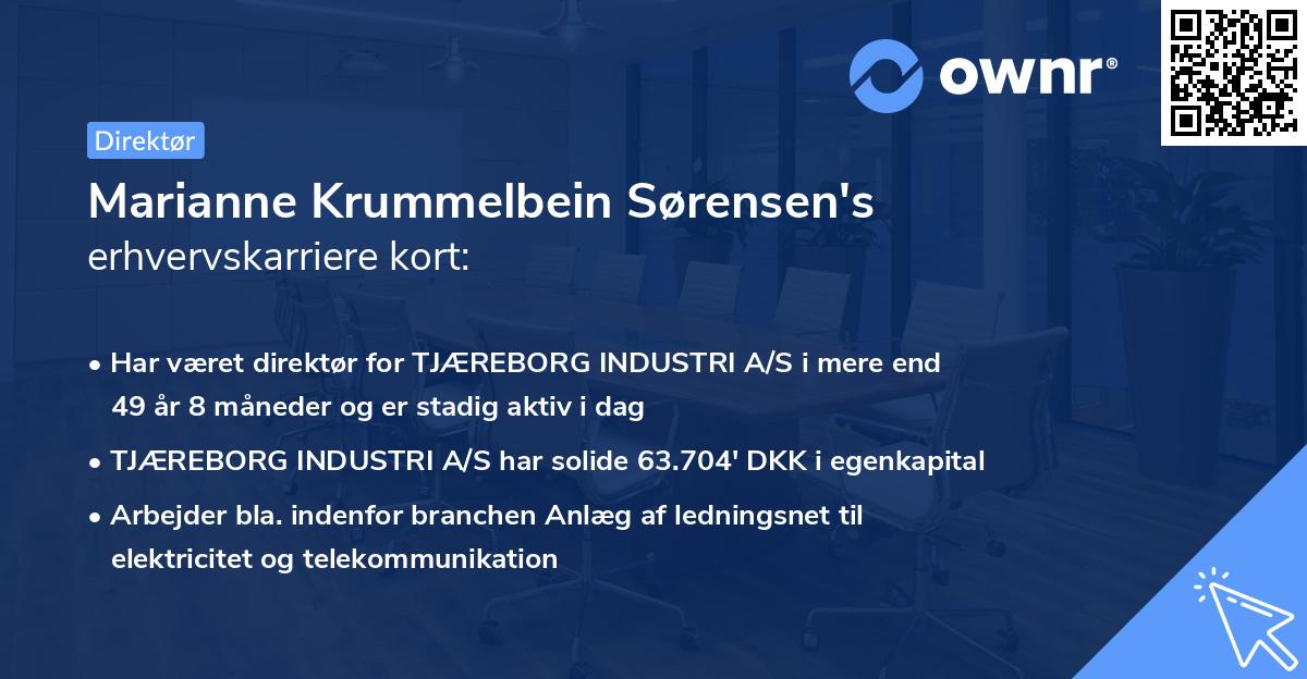 Marianne Krummelbein Sørensen's erhvervskarriere kort