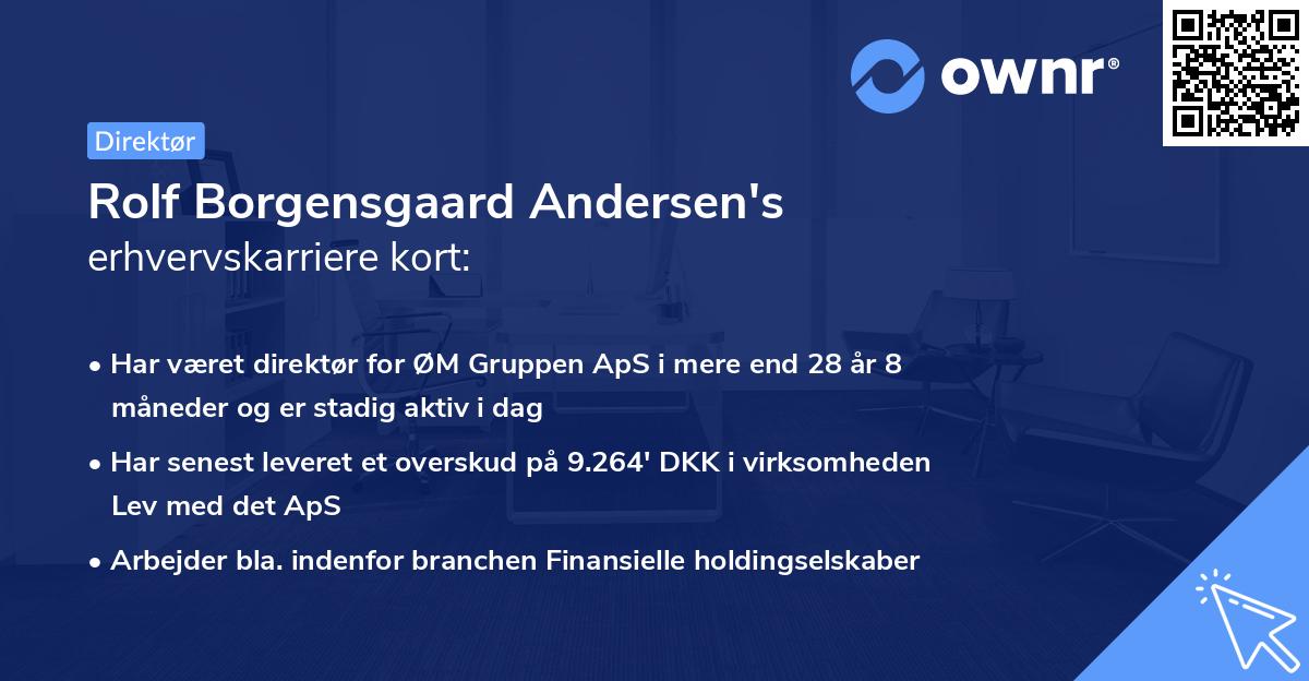 Rolf Borgensgaard Andersen's erhvervskarriere kort
