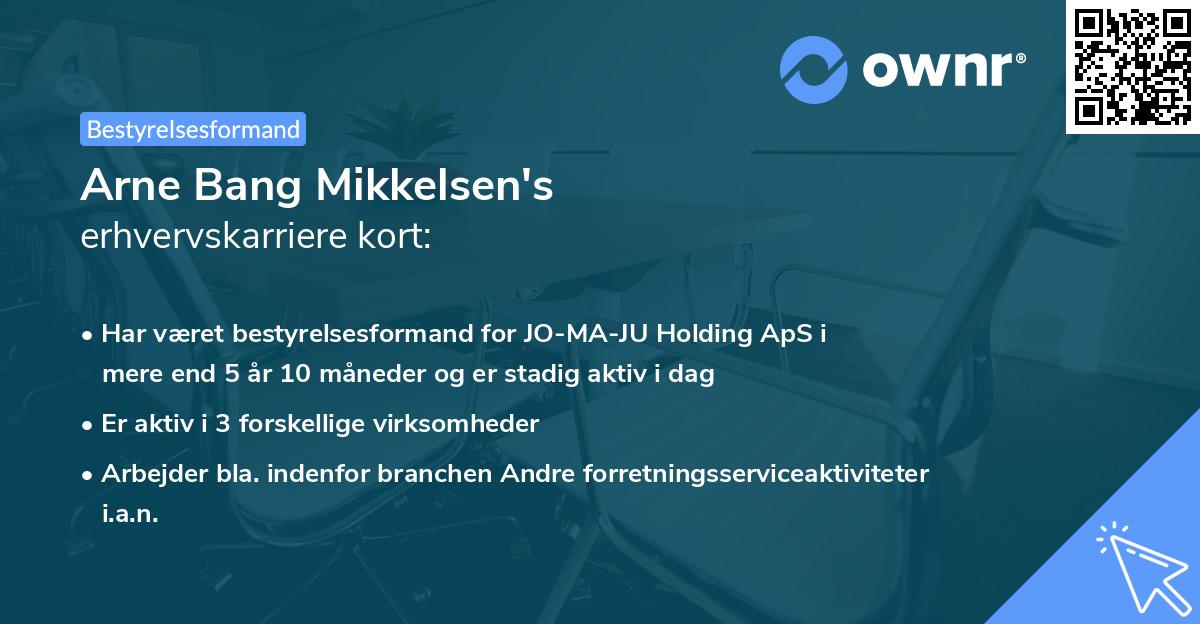 Arne Bang Mikkelsen's erhvervskarriere kort