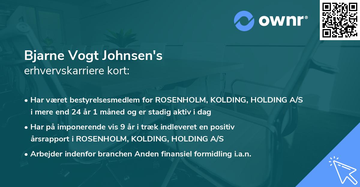 Bjarne Vogt Johnsen's erhvervskarriere kort