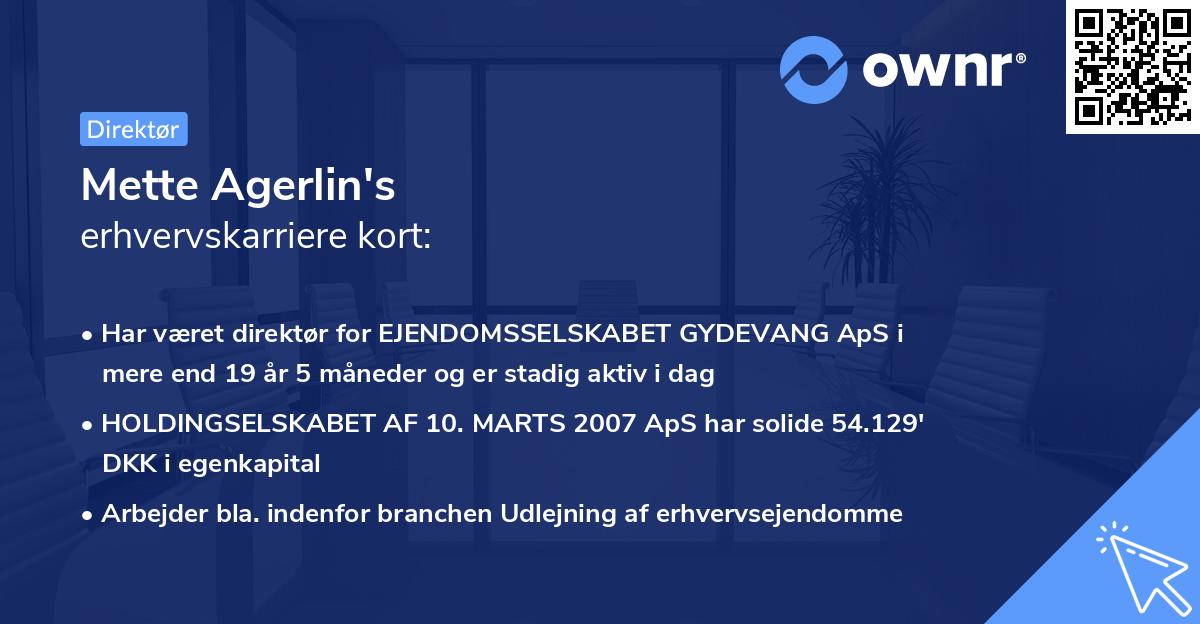 Mette Agerlin's erhvervskarriere kort