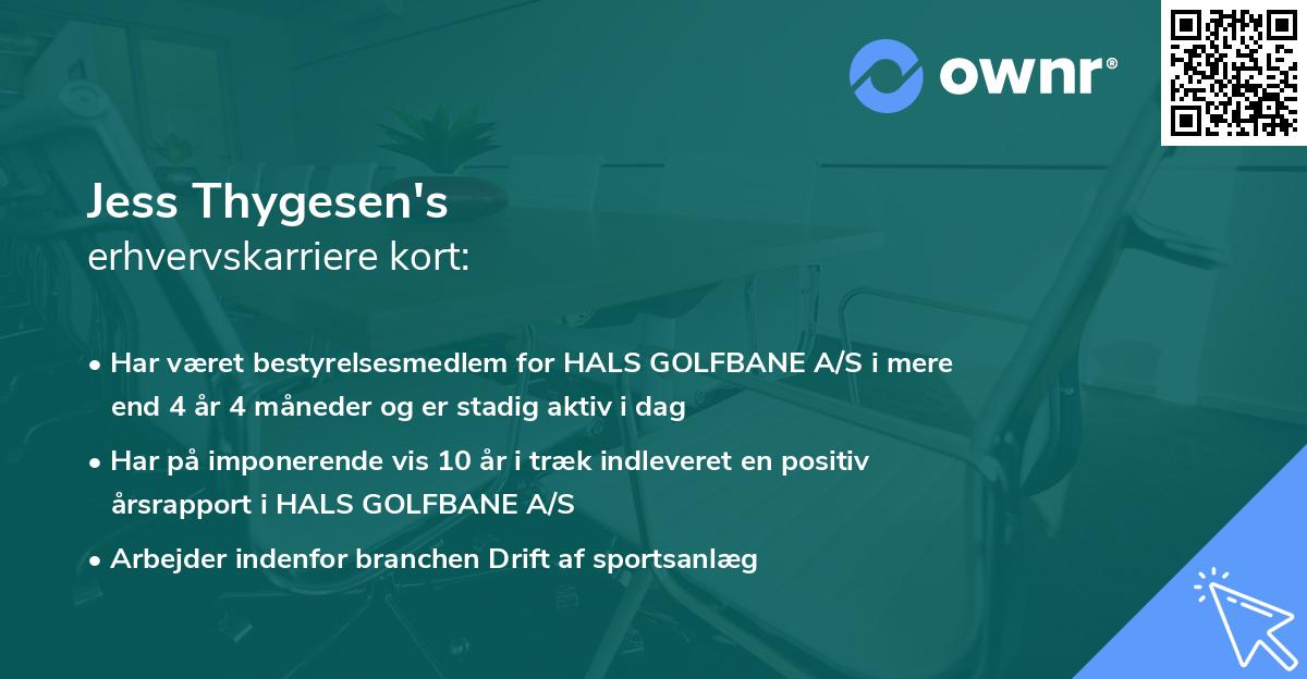 Jess Thygesen's erhvervskarriere kort
