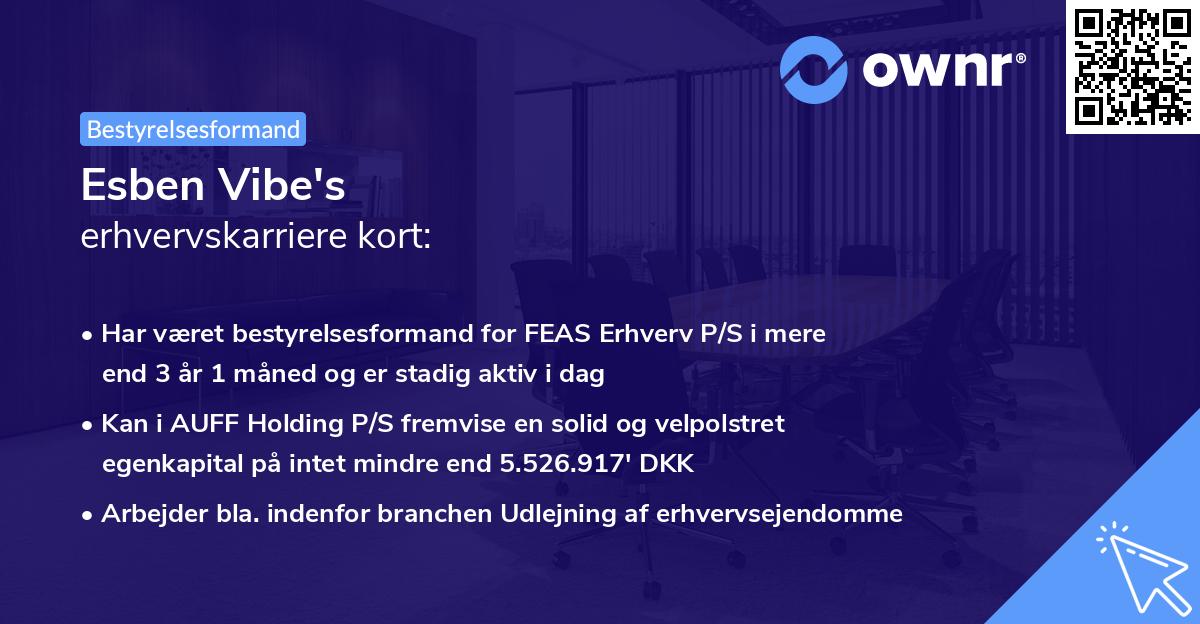 Esben Vibe's erhvervskarriere kort