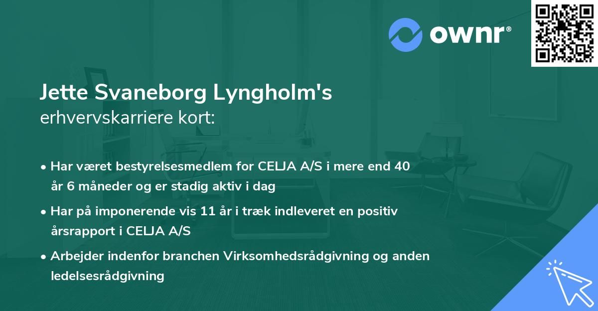 Jette Svaneborg Lyngholm's erhvervskarriere kort