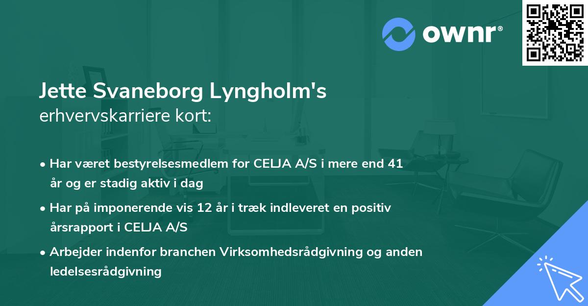 Jette Svaneborg Lyngholm's erhvervskarriere kort
