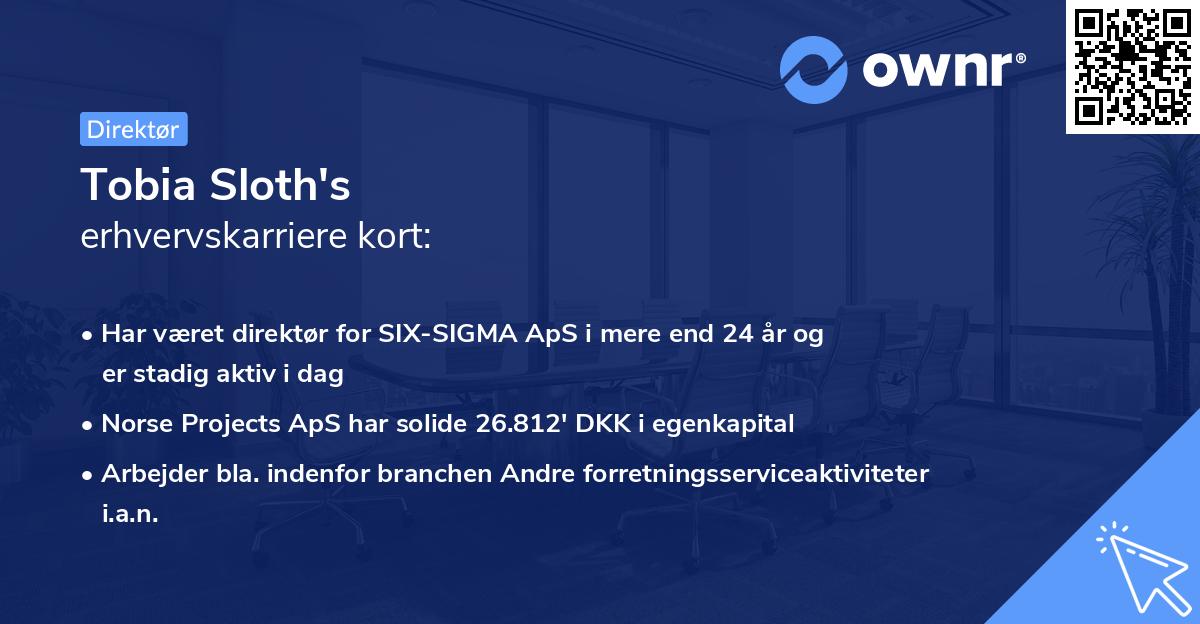 Tobia Sloth's erhvervskarriere kort