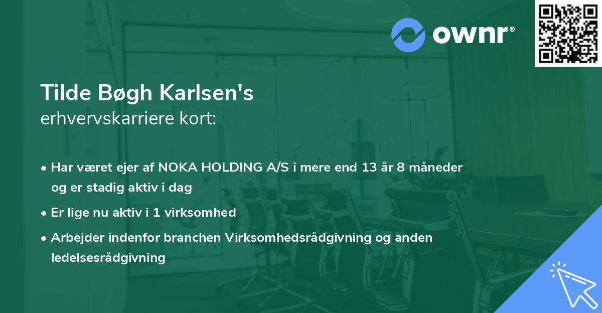 Tilde Bøgh Karlsen's erhvervskarriere kort