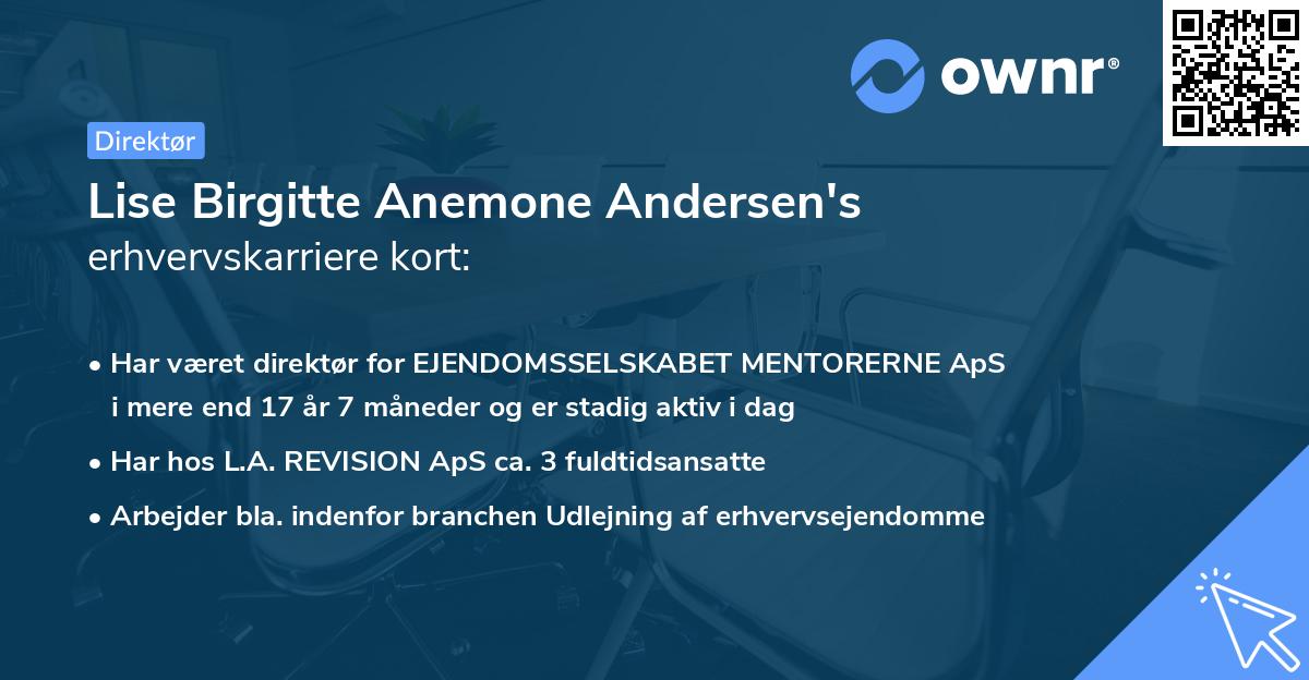 Lise Birgitte Anemone Andersen's erhvervskarriere kort