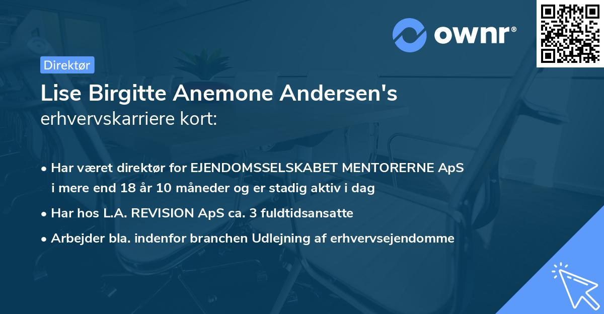 Lise Birgitte Anemone Andersen's erhvervskarriere kort