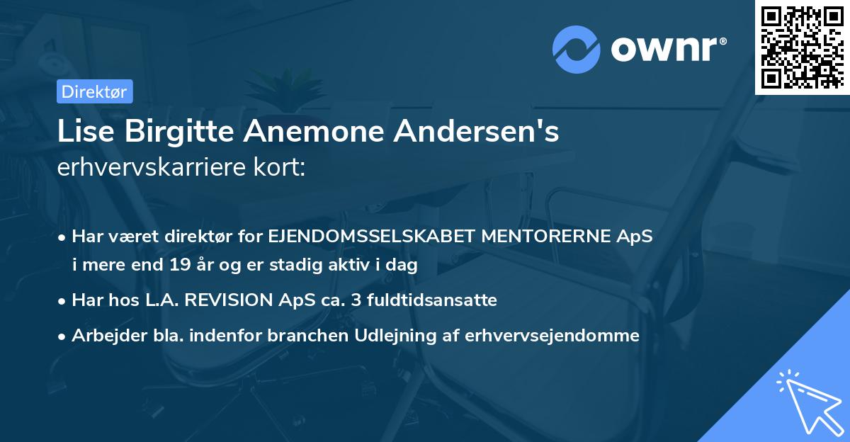 Lise Birgitte Anemone Andersen's erhvervskarriere kort