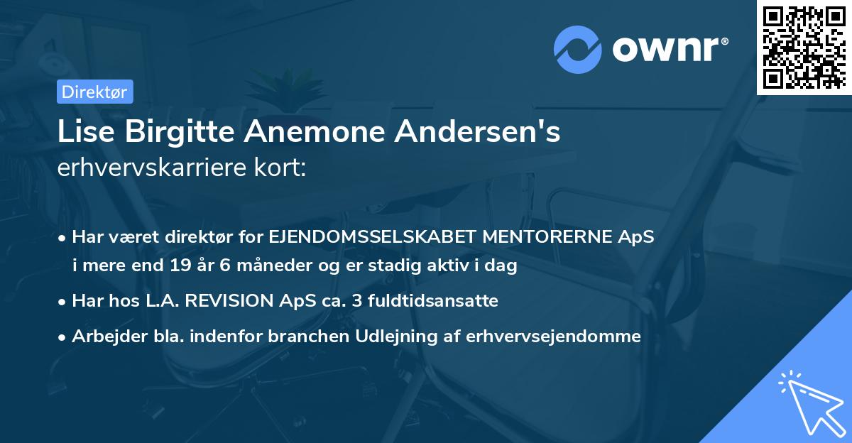 Lise Birgitte Anemone Andersen's erhvervskarriere kort