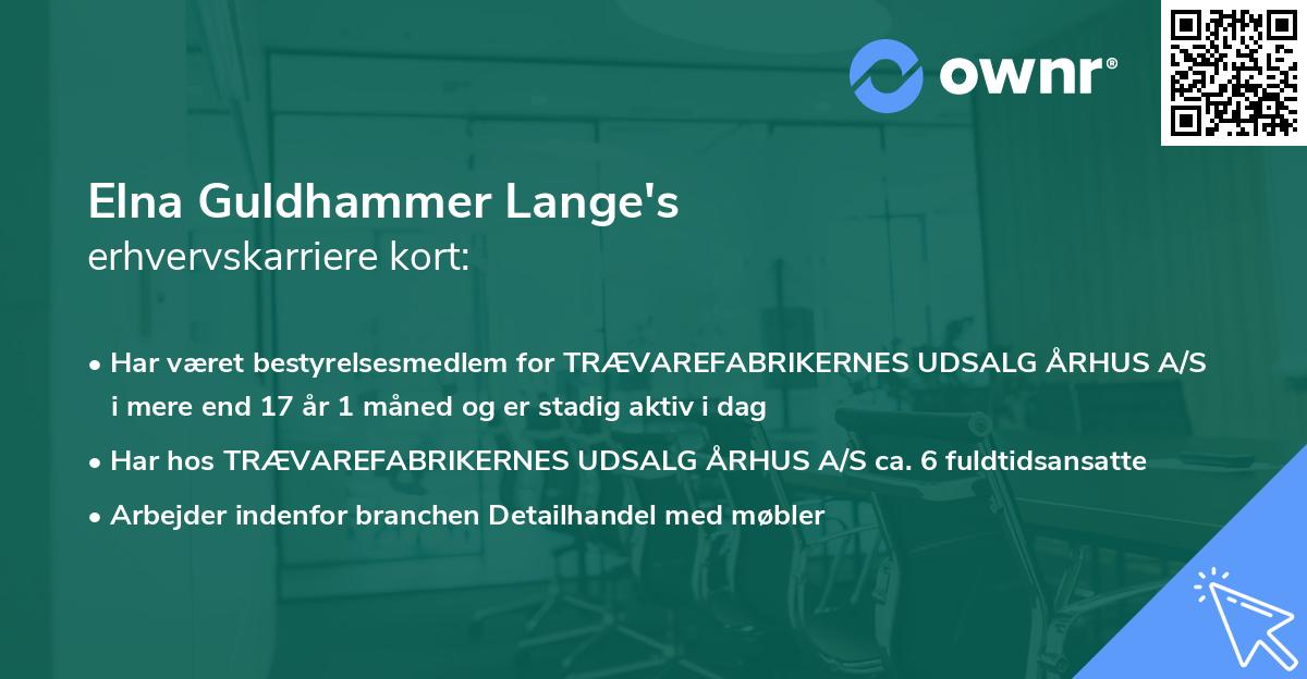 Elna Guldhammer Lange's erhvervskarriere kort