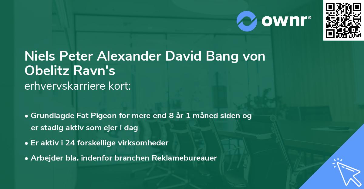 Niels Peter Alexander David Bang von Obelitz Ravn's erhvervskarriere kort