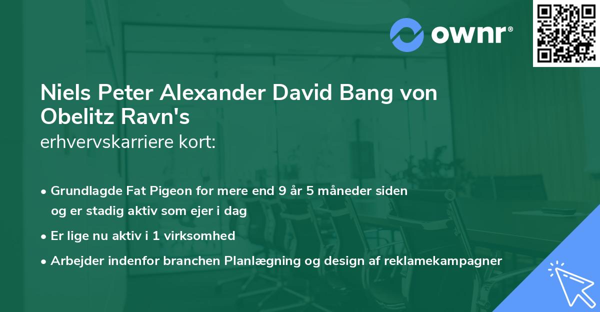 Niels Peter Alexander David Bang von Obelitz Ravn's erhvervskarriere kort