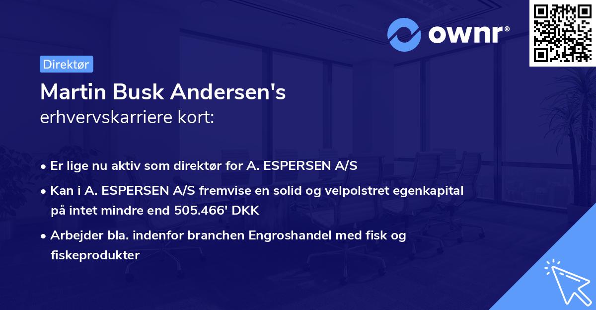 Martin Busk Andersen's erhvervskarriere kort