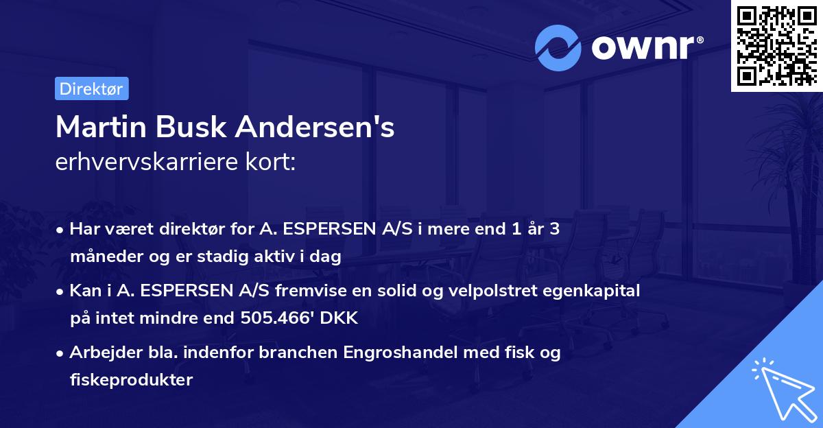 Martin Busk Andersen's erhvervskarriere kort