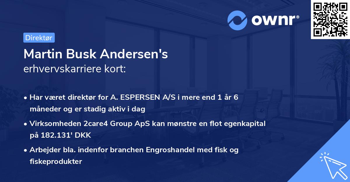 Martin Busk Andersen's erhvervskarriere kort
