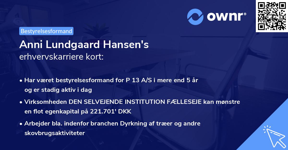 Anni Lundgaard Hansen's erhvervskarriere kort