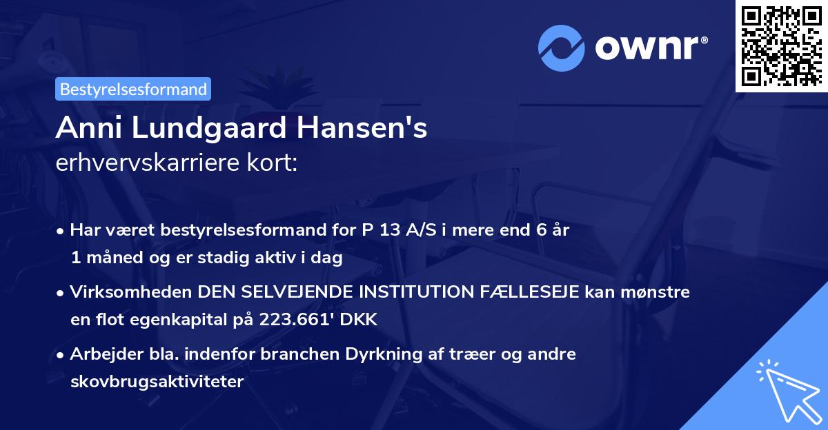 Anni Lundgaard Hansen's erhvervskarriere kort