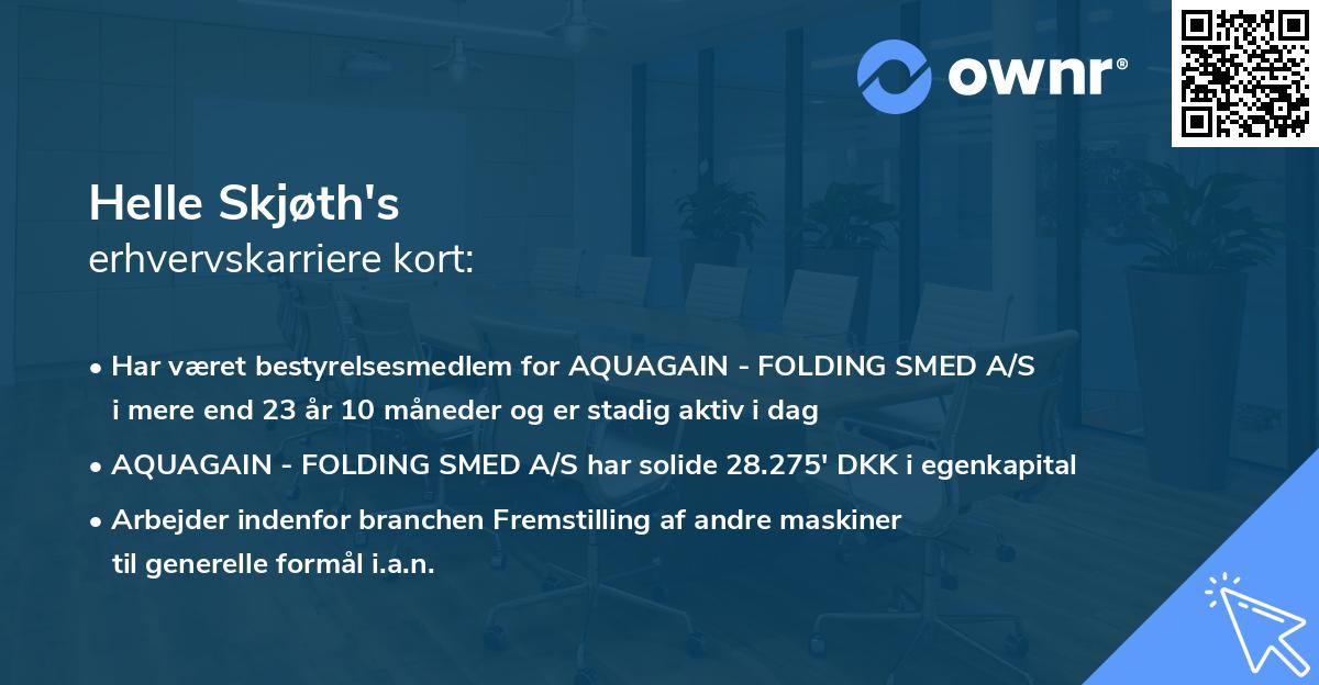 Helle Skjøth's erhvervskarriere kort