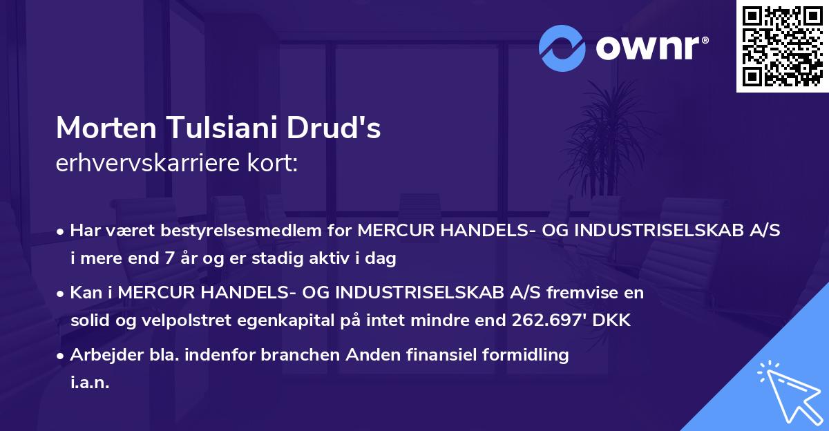 Morten Tulsiani Drud's erhvervskarriere kort