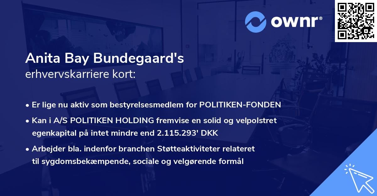 Anita Bay Bundegaard's erhvervskarriere kort