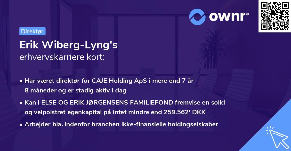 Erik Wiberg-Lyng's erhvervskarriere kort
